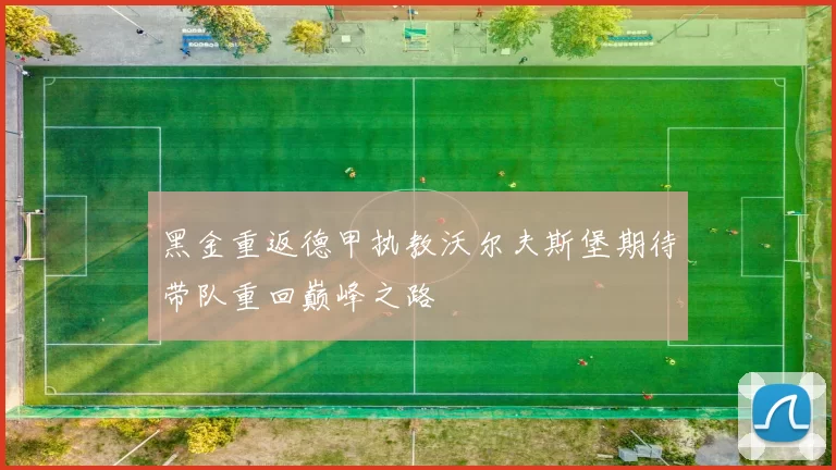 黑金重返德甲执教沃尔夫斯堡期待带队重回巅峰之路